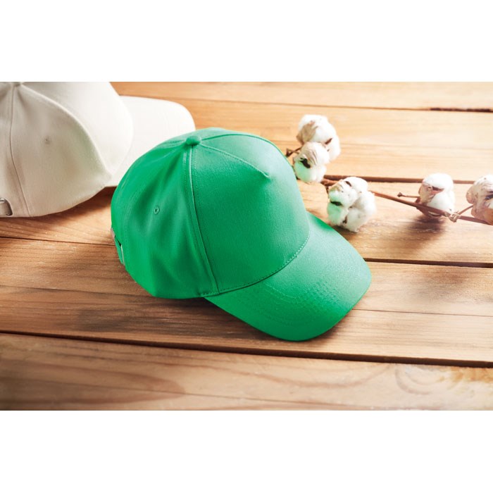BICCA CAP - Baseball cap van biologisch kat